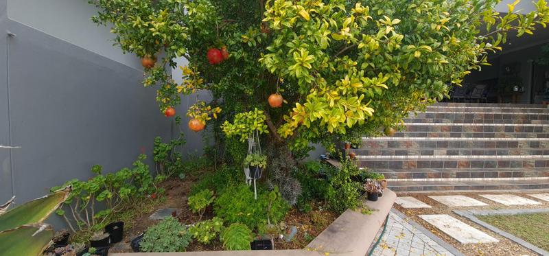 5 Bedroom Property for Sale in Myburgh Park Western Cape